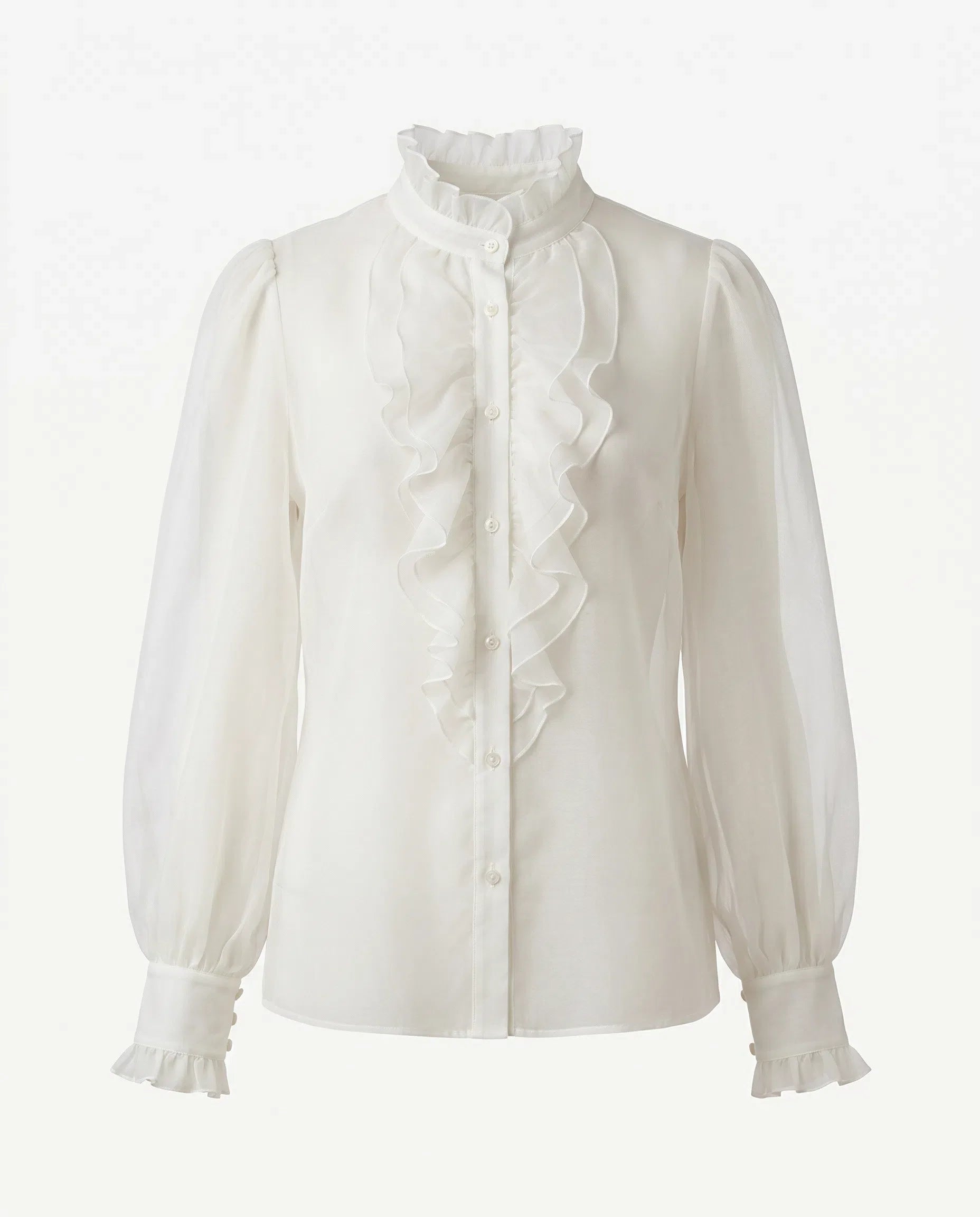 Sheer Ruffle Blouse product shot